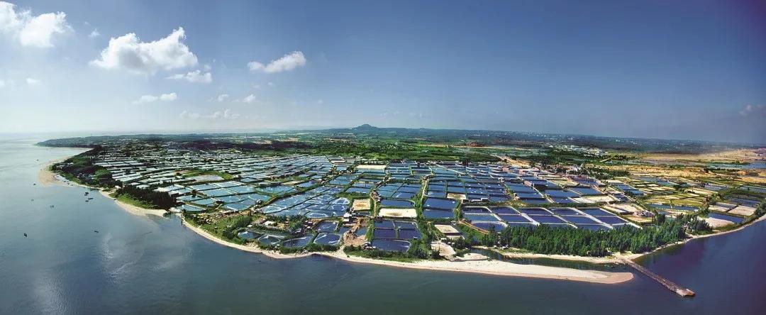 湛江钢铁基本情况,湛江钢铁项目投资资金