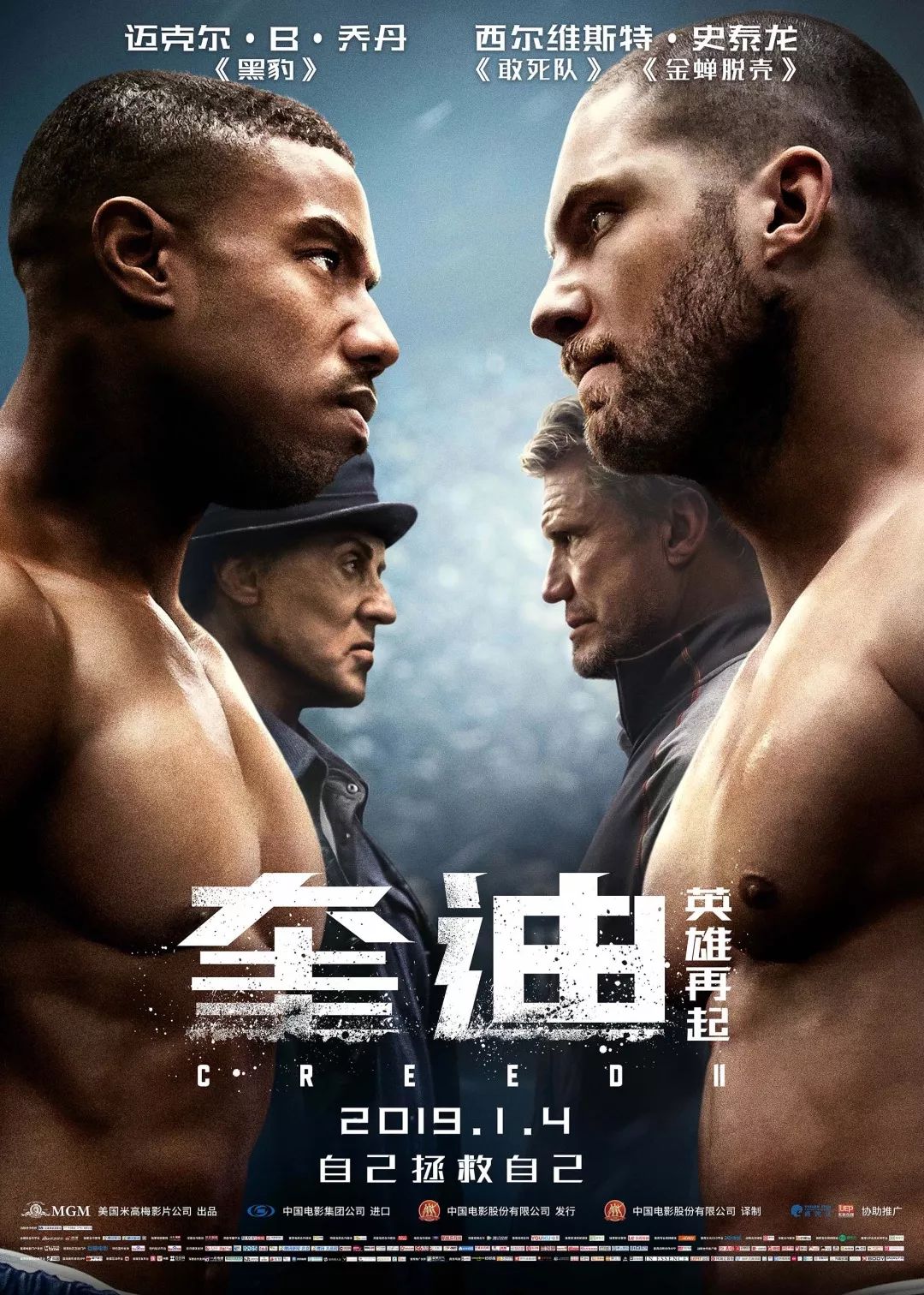 2019开年电影攻略,2019年开年电影抢先看