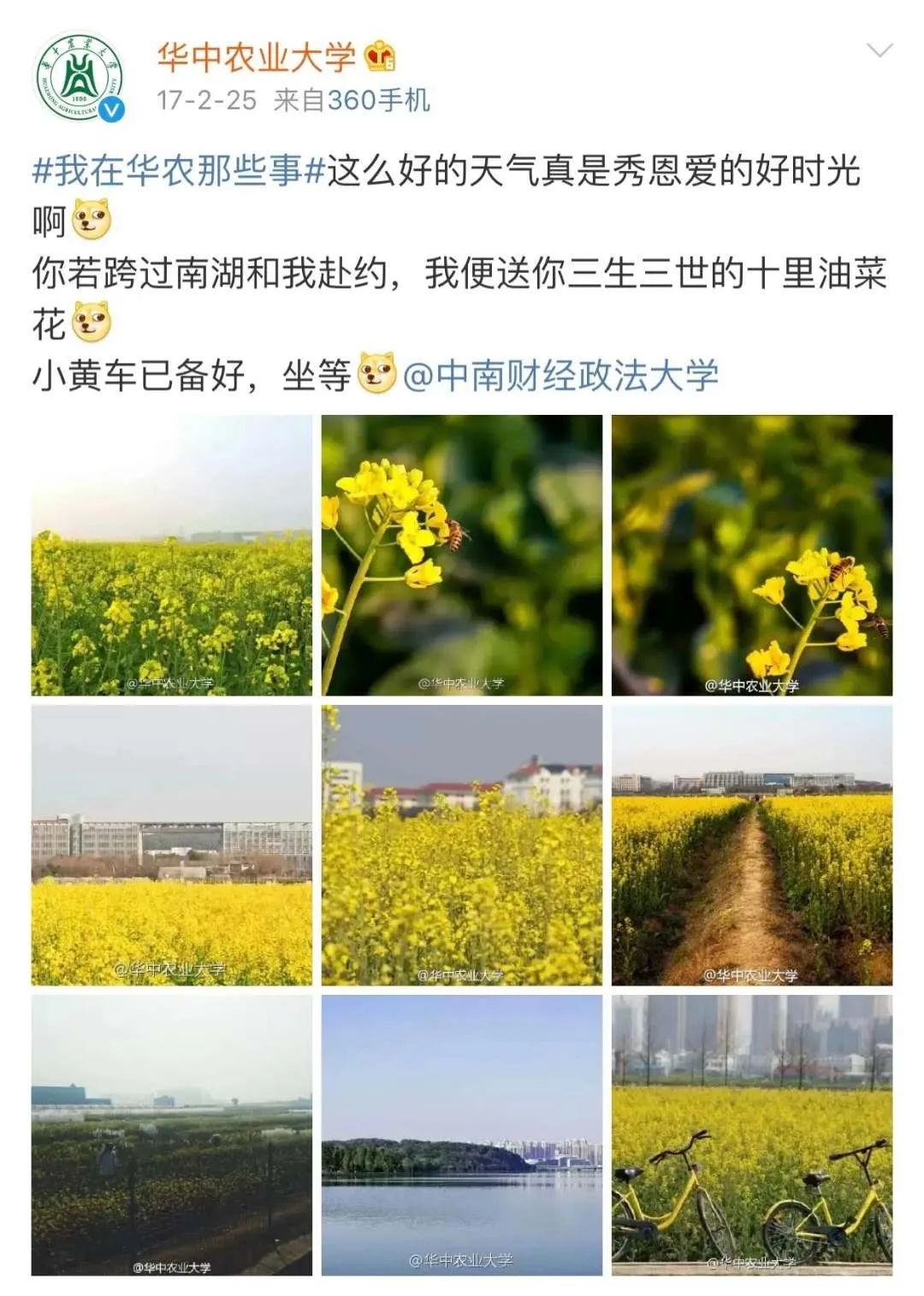 武汉农家乐一日游,武汉近郊农家乐一日游