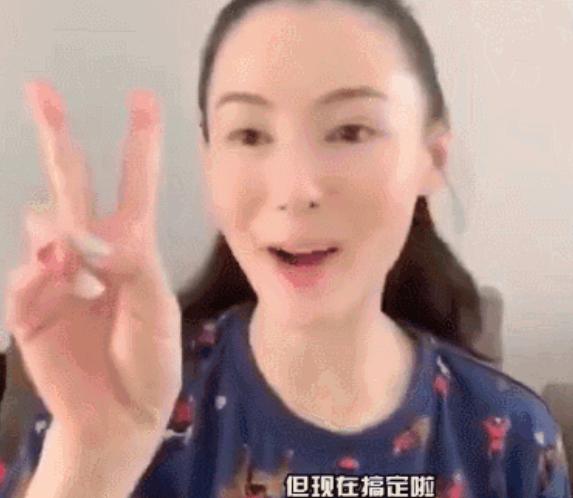 张柏芝化妆步骤,张柏芝化妆与不化妆的区分