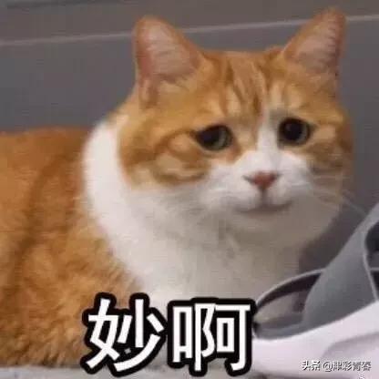 绂忓埄閫佺エ,绂忓埄璧犵エ娲诲姩