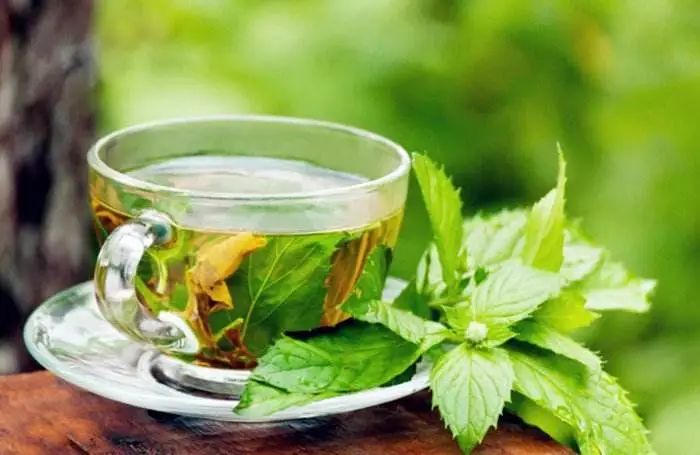 茶文化和咖啡,南半球咖啡
