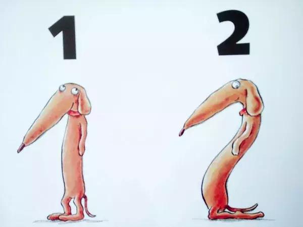 20本狗狗绘本推荐,狗狗绘本浏览