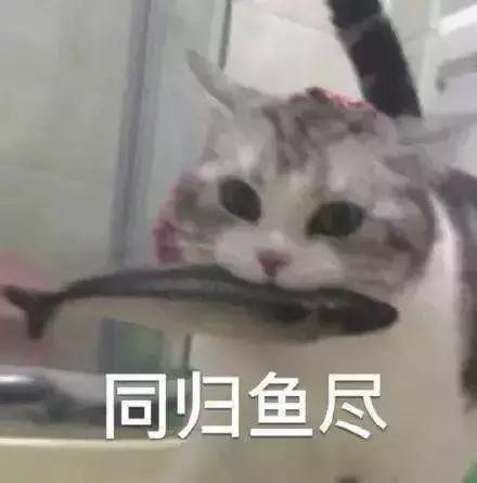 测评网红零食小视频,网红猪饲料零食大礼包测评