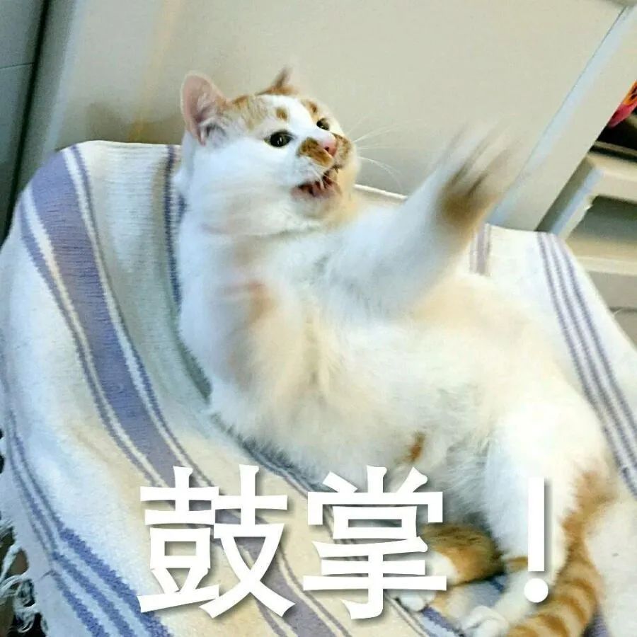 又一场盛宴完美收官,小康杯足球赛况
