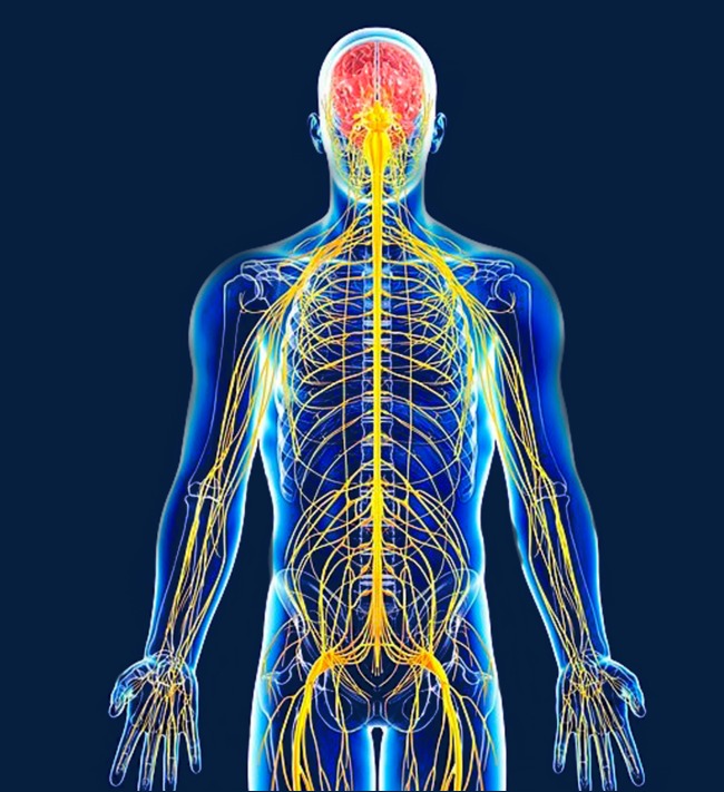 腰椎间盘突出你了解吗,腰椎间盘突出症的科普问答