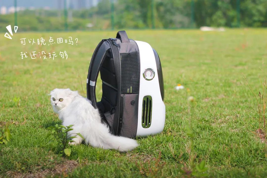 你们不在，我替你们好好逛携创的新足球场，喵~
