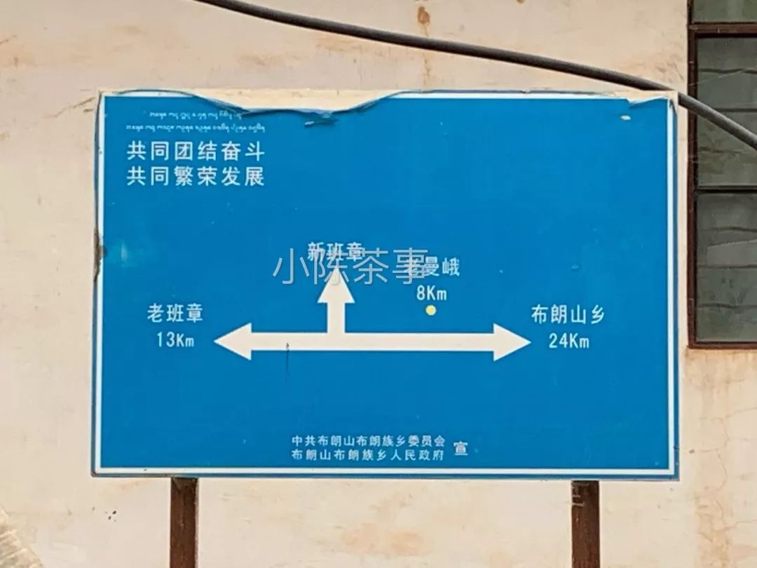 普洱茶古树茶小众山头,普洱茶古树茶与台地茶的区分在哪