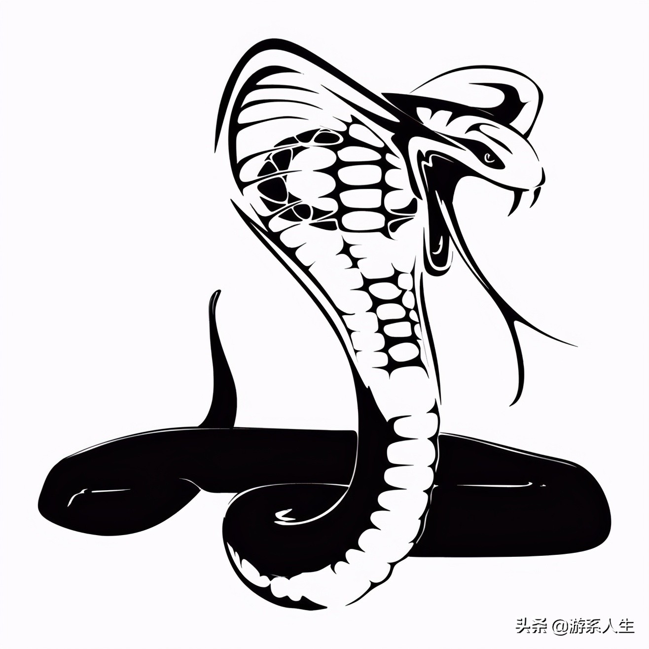 保利博物馆藏国宝青铜器精品欣赏,保利艺术博物馆藏青铜器