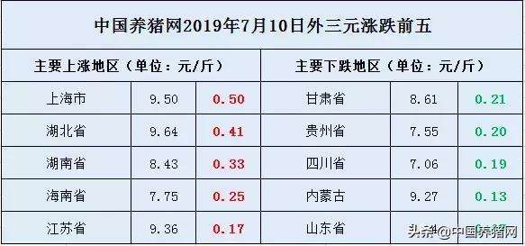 「7月10日猪价」今日猪价大幅上涨，或将正式进入7月涨势潮流