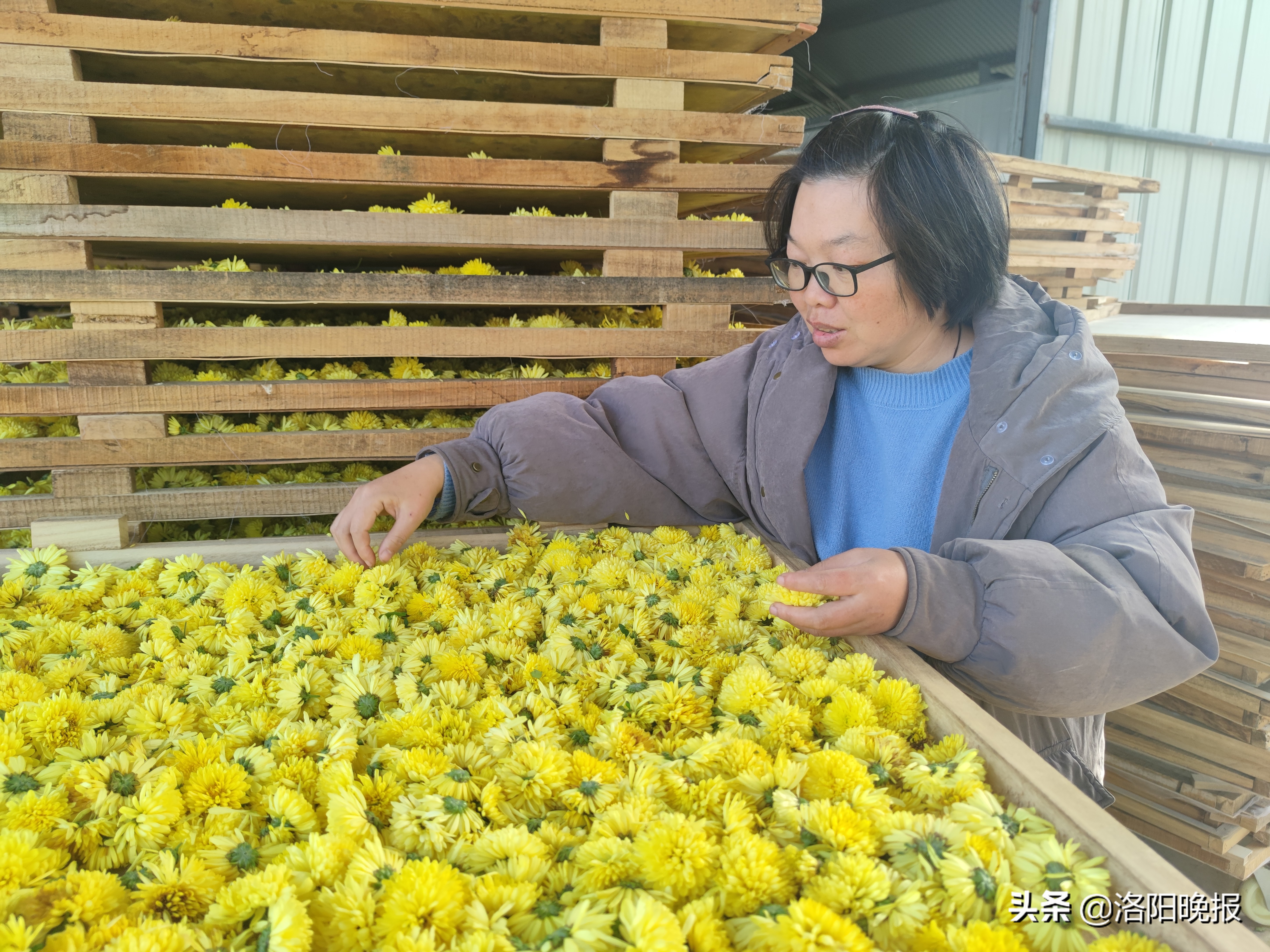 杨婷婷霍邱,杨婷婷丽水