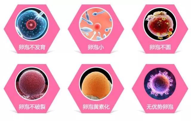 卵泡发育要做b超吗,女孩卵泡发育对照表