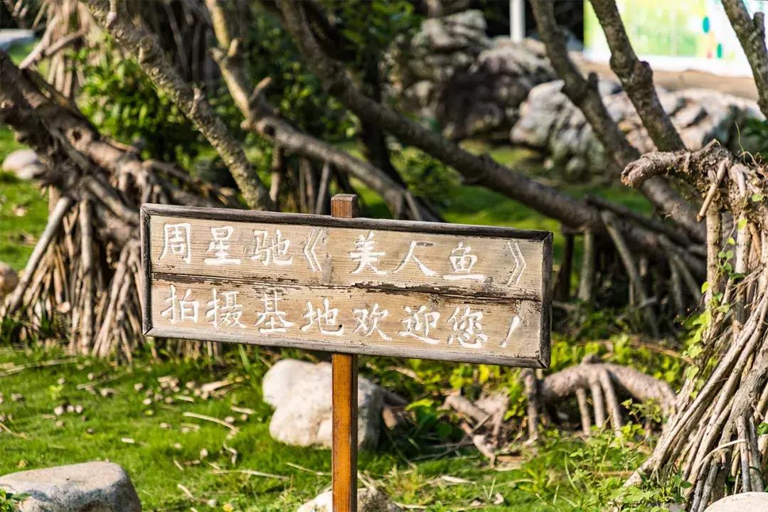 大鹏杨梅坑景区,杨梅坑旅游景点