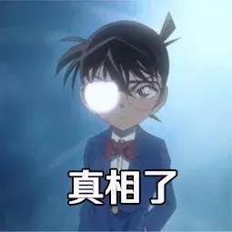 now和go区分,now和go猫粮哪个更好