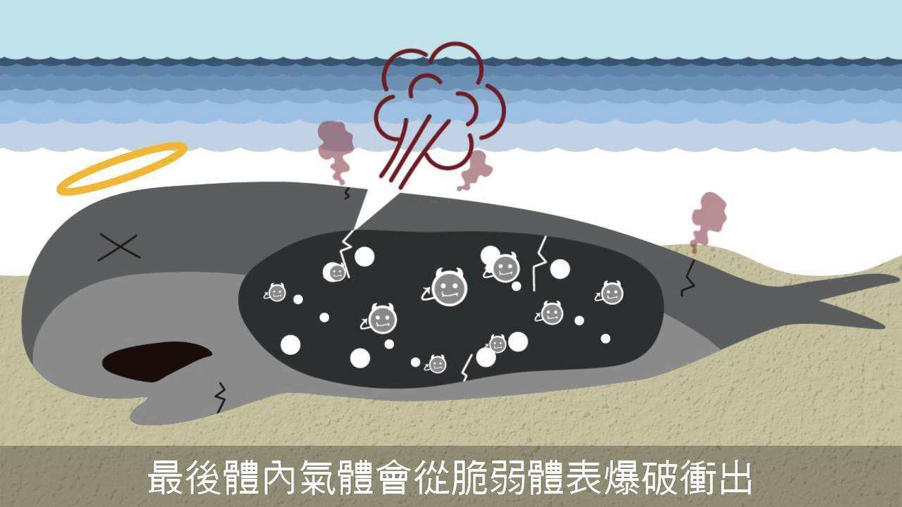 为什么在沙漠里要谨慎骆驼的尸体,为什么在沙漠里见到死骆驼不能碰