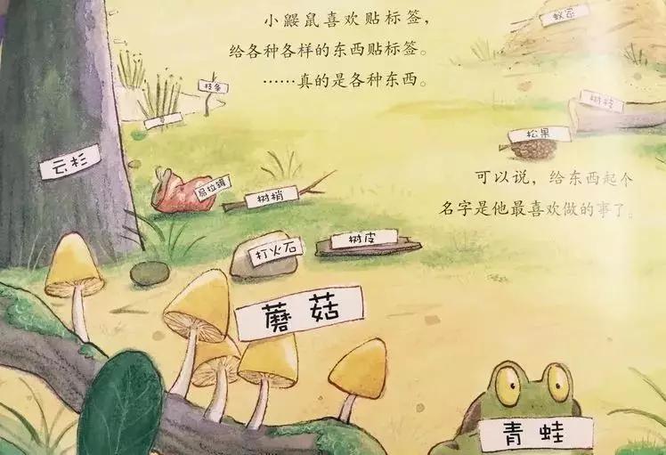 悦宝园主题课程推荐：鳄鱼｜AlligatorsandCrocs