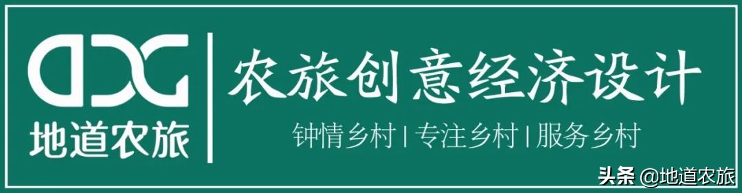 农场乡村振兴具体实施哪些项目,乡村振兴都市型休闲农业发展前景