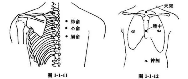 艾灸治疗感冒的正确方法,艾灸治疗感冒咳嗽视频