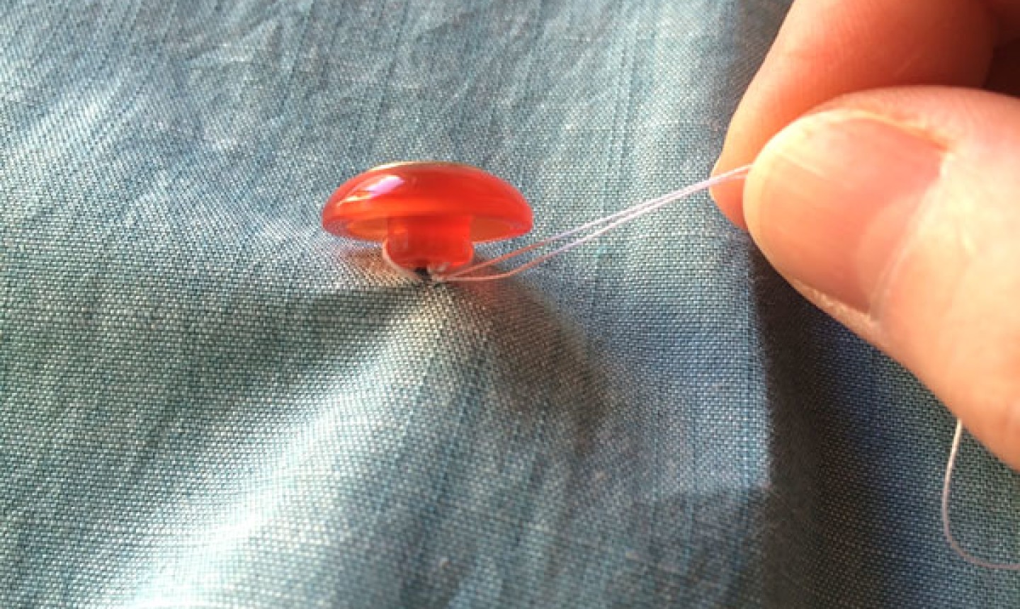 怎么在衣服上缝纽扣两孔,服装专业缝纽扣方法