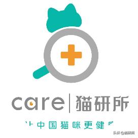老年猫肾衰的最佳治疗方法,老年猫肾病怎么治疗