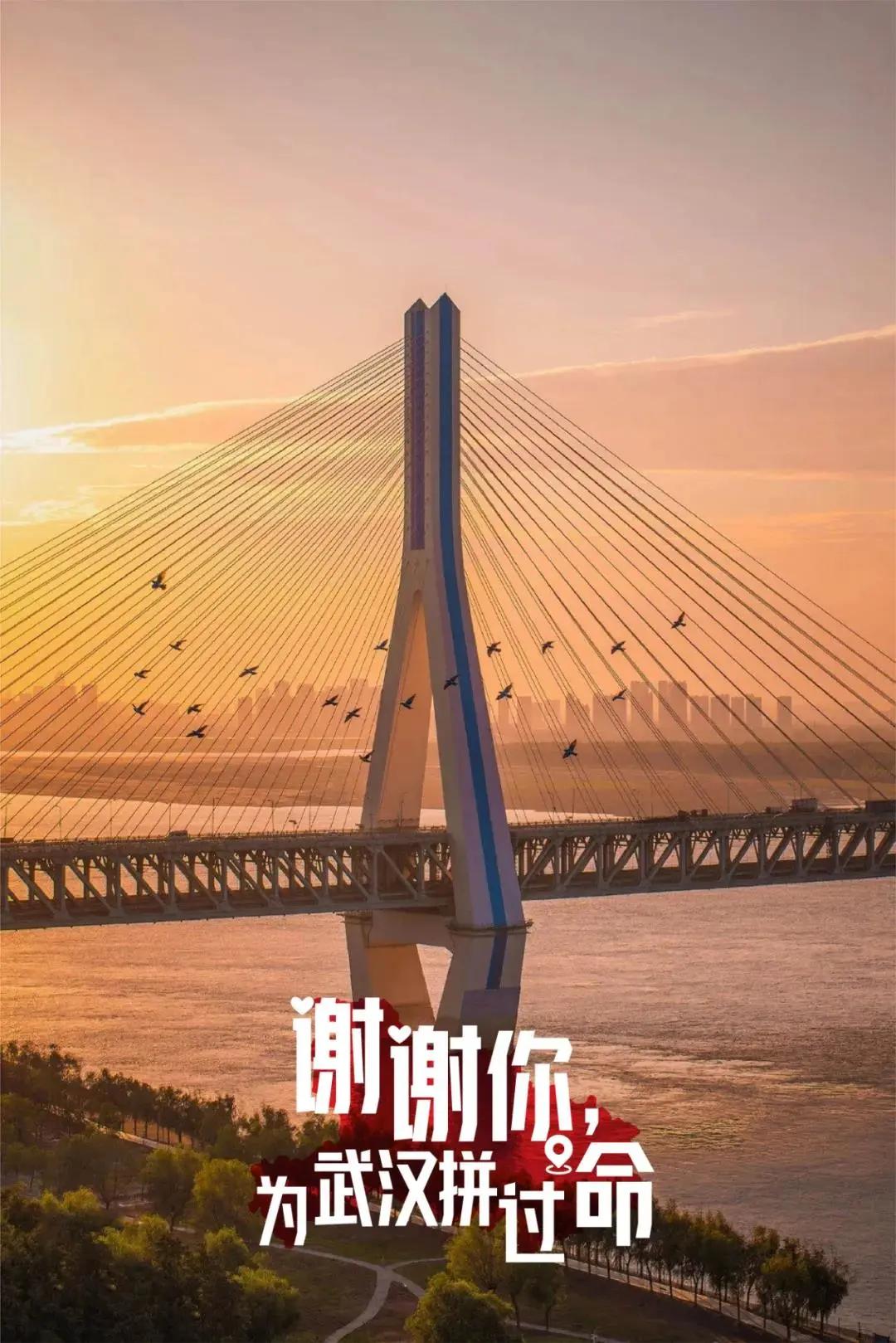 3月7日上海要闻及抗击肺炎快报,上海要闻及抗击肺炎快报