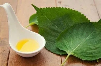 送你一片薄荷叶小说,送你一片银杏叶朗诵