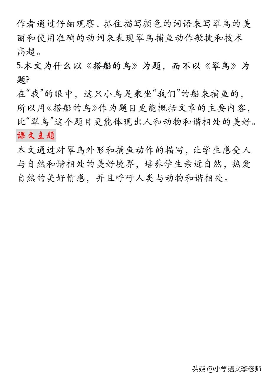 三年级搭船的鸟告知我们什么道理,三年级上册语文搭船的鸟思维导图