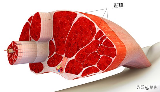 广马迎来好天气，赛前一天做好这个让你以最佳状态实现PB