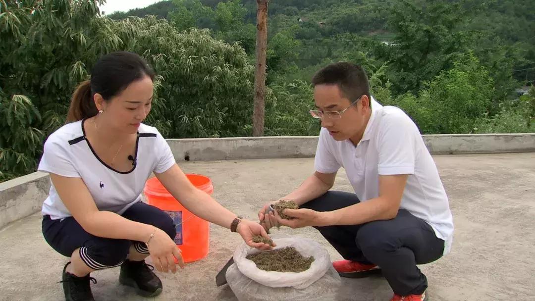 夫妻两人没做过生意适合干什么,无经验夫妻二人搞养殖