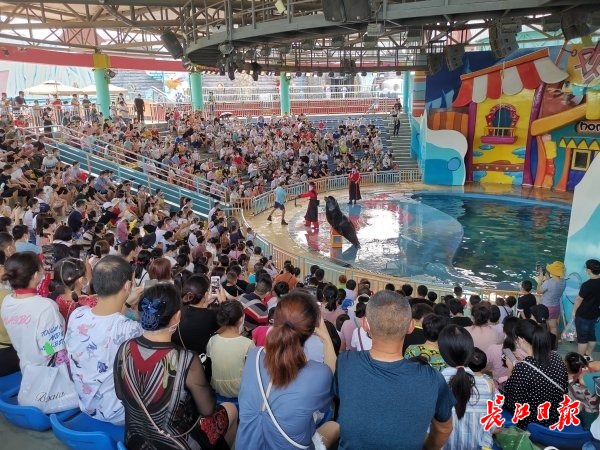 武汉景点年卡有什么优惠政策,旅游年卡可以不预约进景区吗