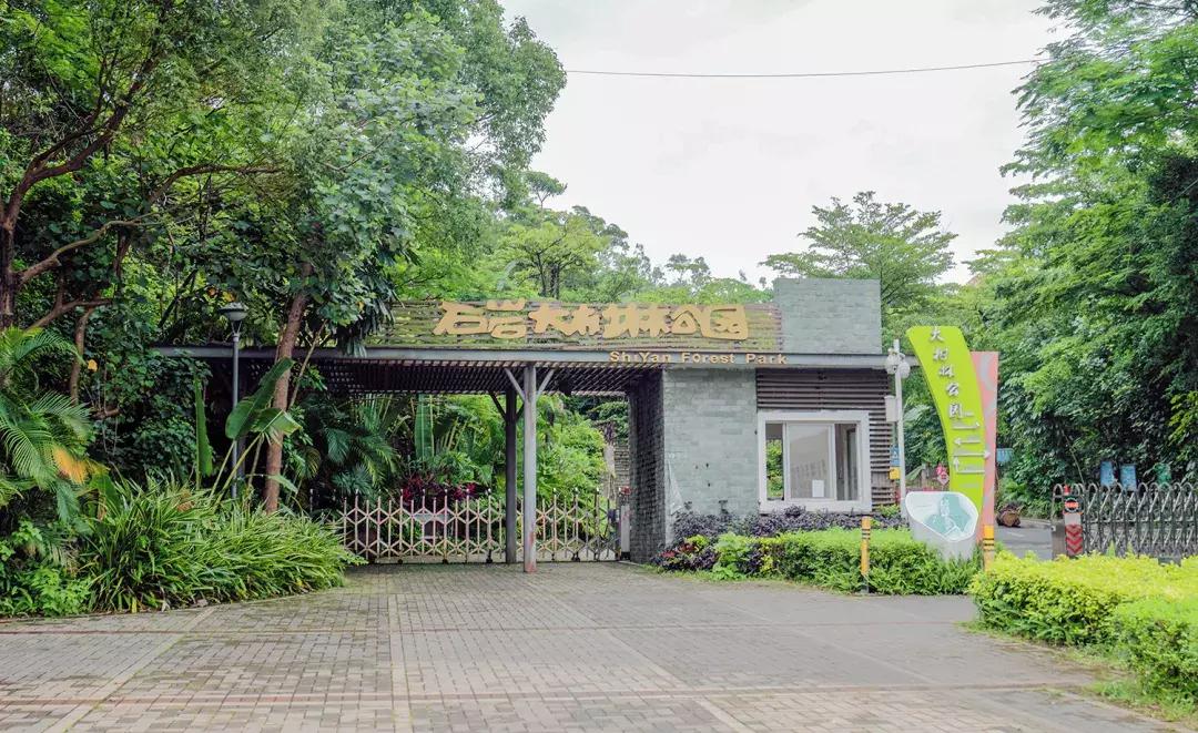 这里是石岩