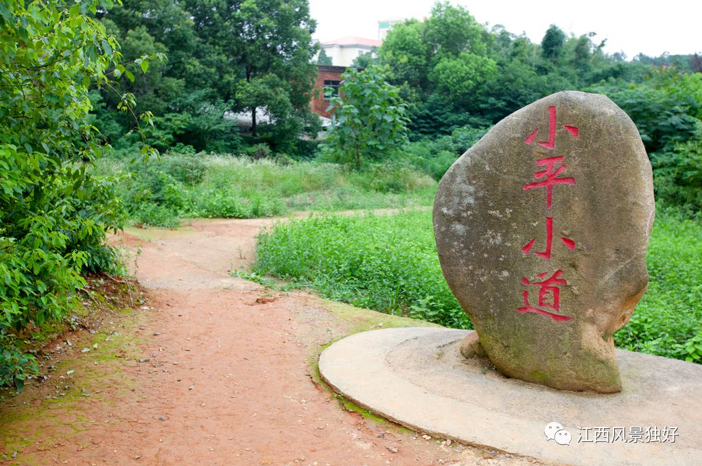朱虹江西风景独好,朱虹绝代佳人