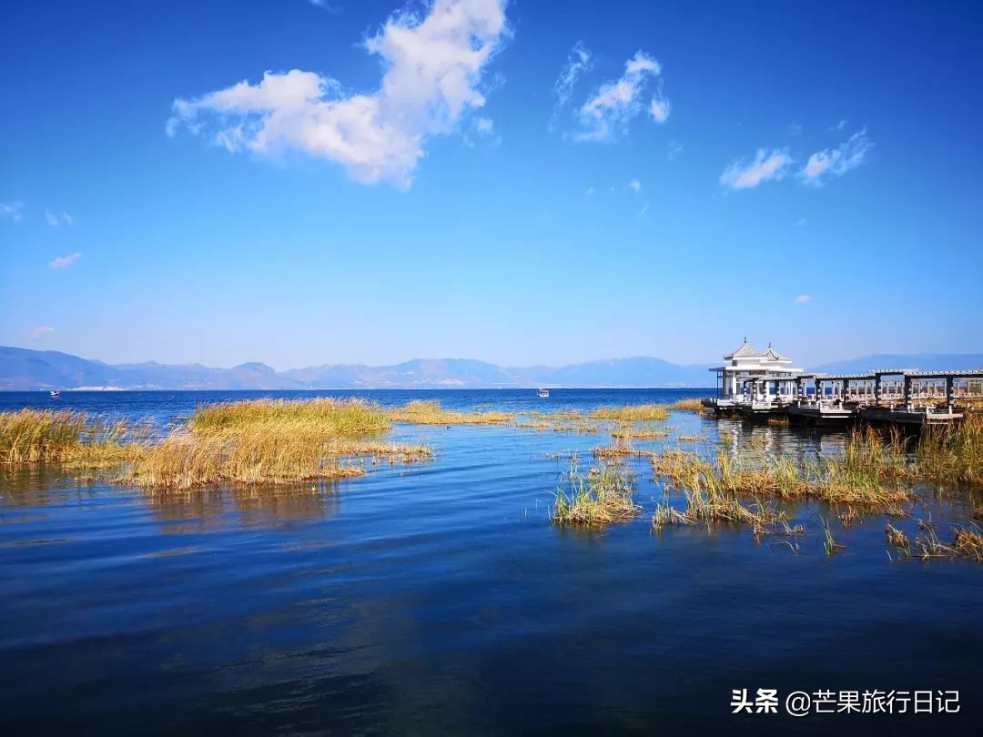 广州到云南5天旅游攻略图,广州去云南抚仙湖怎么去