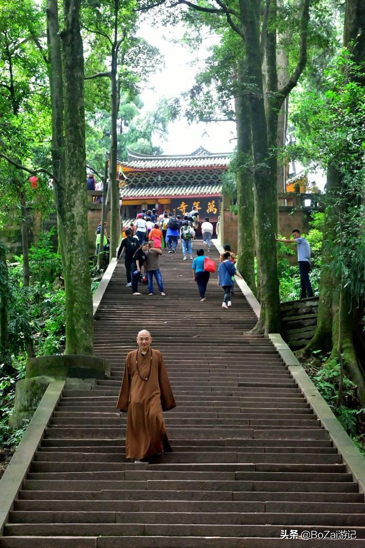 四川峨眉山景区怎么游玩最好,到峨眉山旅游哪家好玩点的多