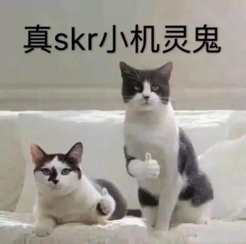 面对两难的选择怎么办,面对两难选择的时候我应该怎么做