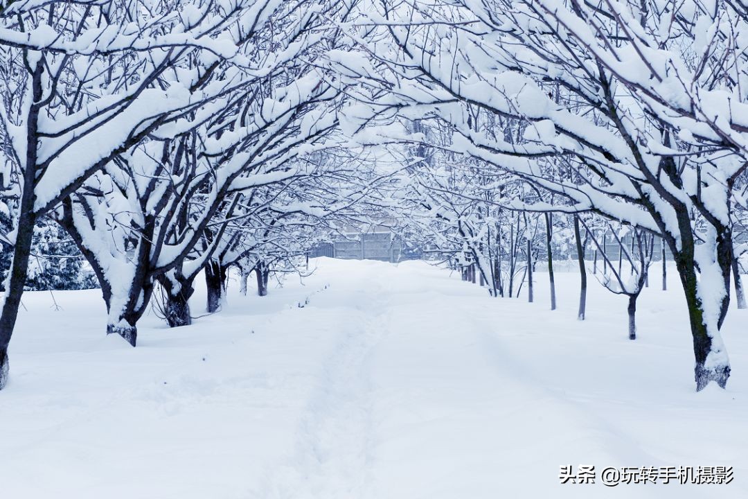 朋友圈赞爆的美照,雪景美爆朋友圈