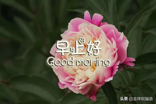 亲爱的早上好祝福送给优秀的人,早上好微信短语祝福朋友健康平安