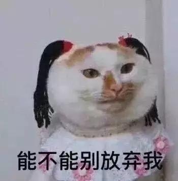 网上流传的jk是什么,人们口中的jk是什么