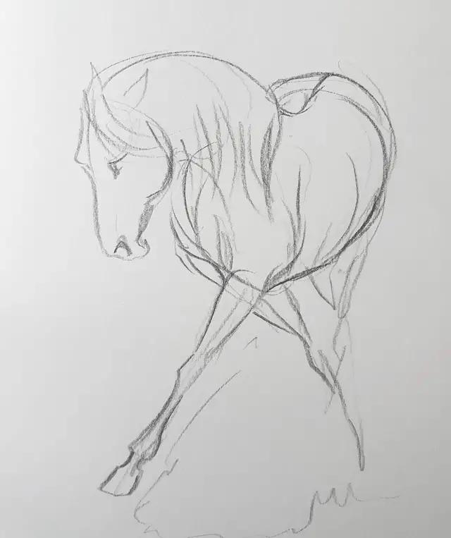 速写简笔画马,画速写不需求临摹