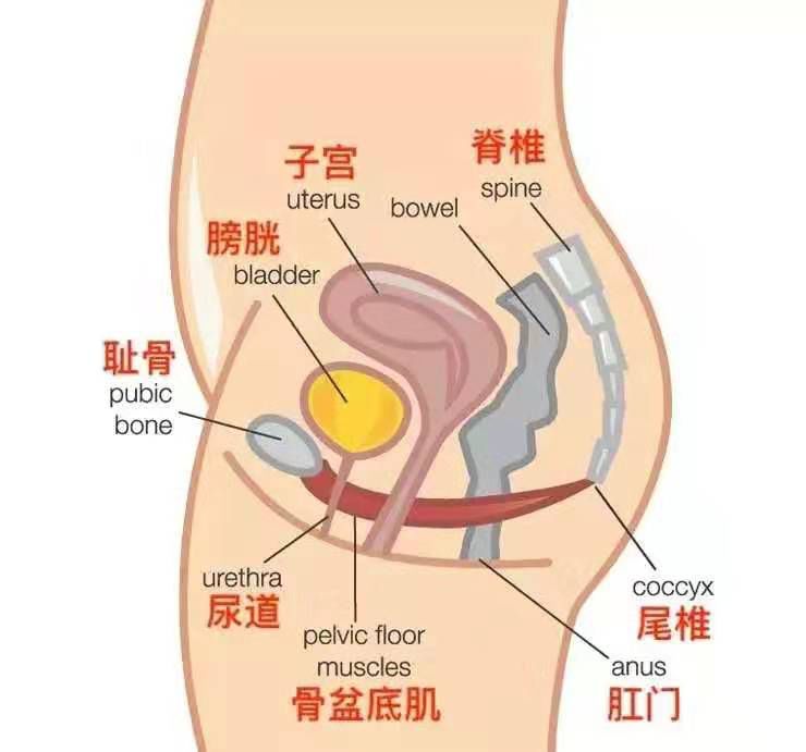 产后疾病妈妈们几乎都会中招，遇到这5种别大意！如何应对看这里