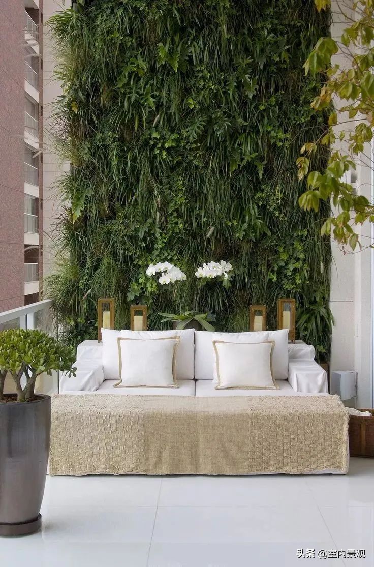 植物墙与永生植物墙不同,植物墙天然