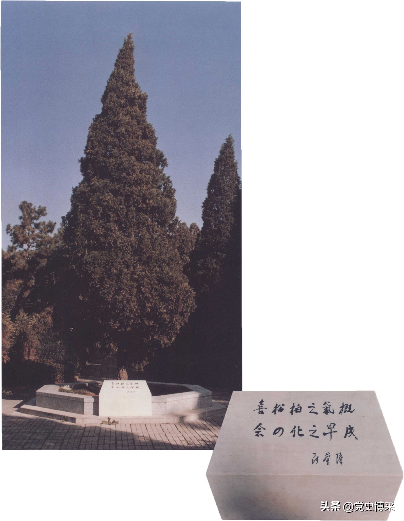 聂帅追悼会上，女儿的举动令人动容，骨灰安放开创八宝山先例