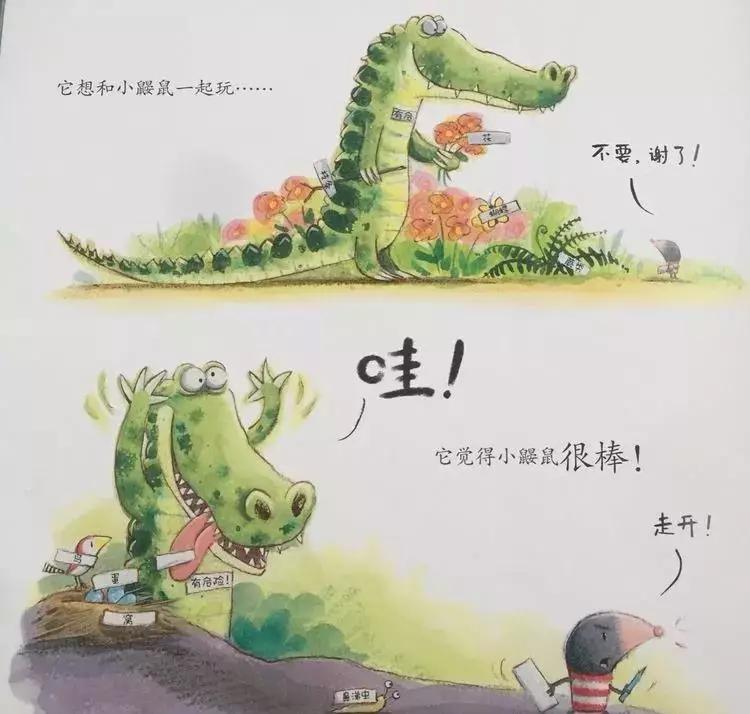 悦宝园主题课程推荐：鳄鱼｜AlligatorsandCrocs