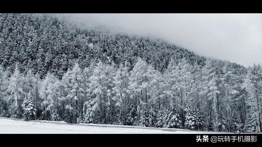 朋友圈经常晒图怎么回事,朋友圈里晒图