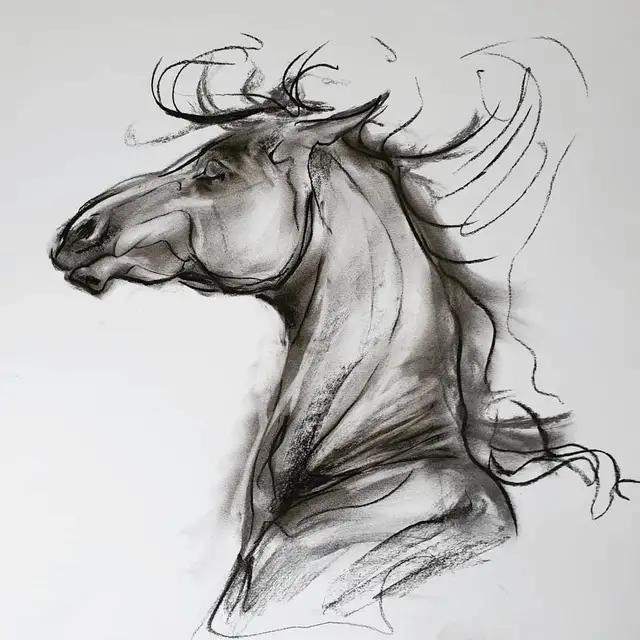速写简笔画马,画速写不需求临摹