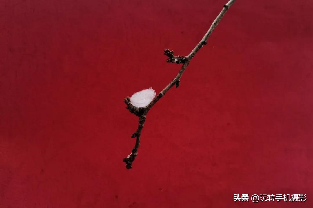 朋友圈赞爆的美照,雪景美爆朋友圈