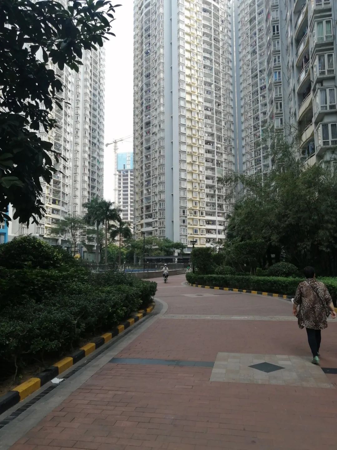 物业服务质量与服务标准的区分,物业对电梯维保评价