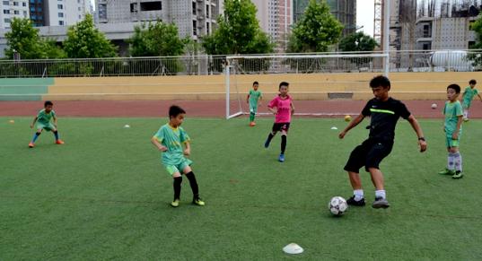 韪腑涔欑殑閮戞櫤,閮戞櫤瓒崇悆鐢熸动鍥為【