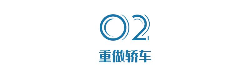 一种是蔚来，一种是其他