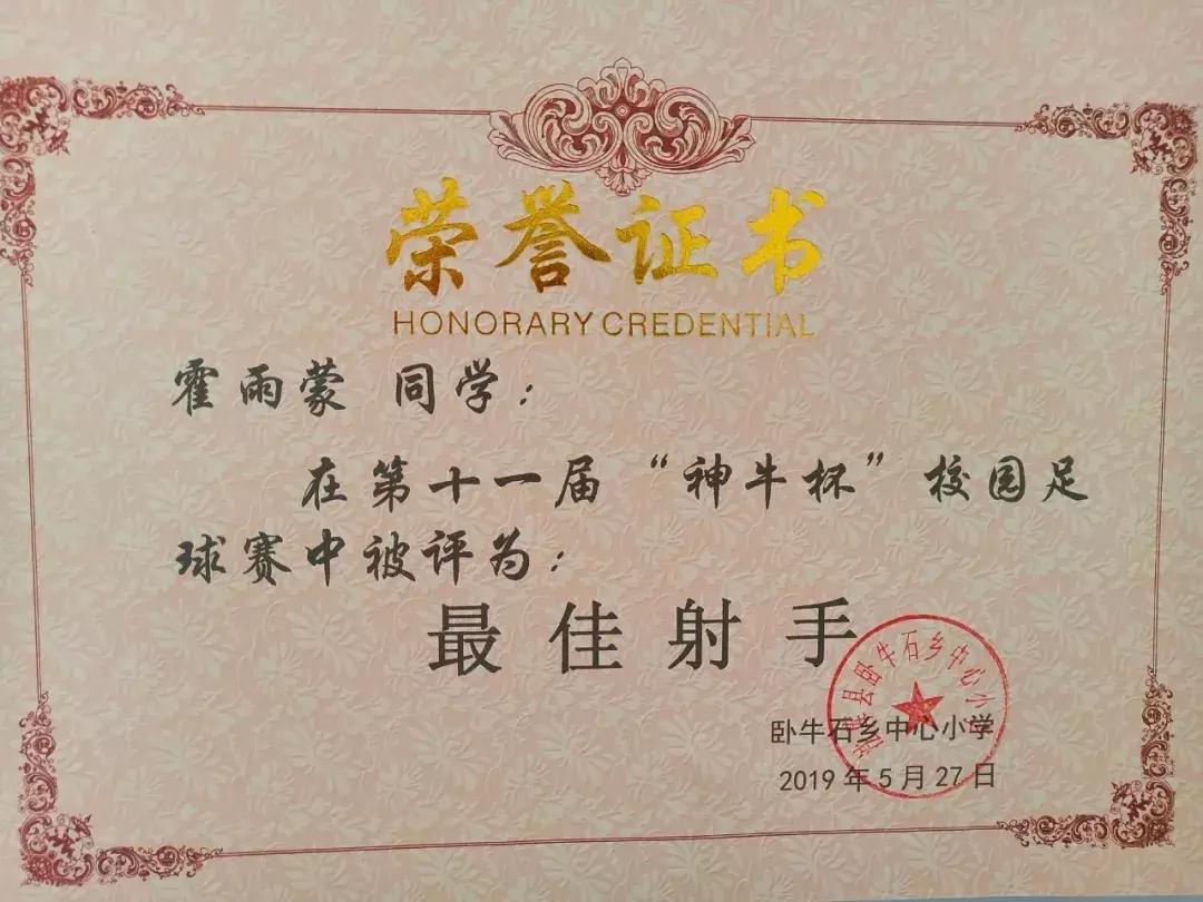 卧牛石小学校园足球赛,法库县小学足球联赛2020